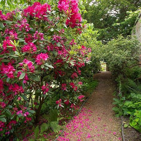 Boreham House Herstmonceux Esterno foto