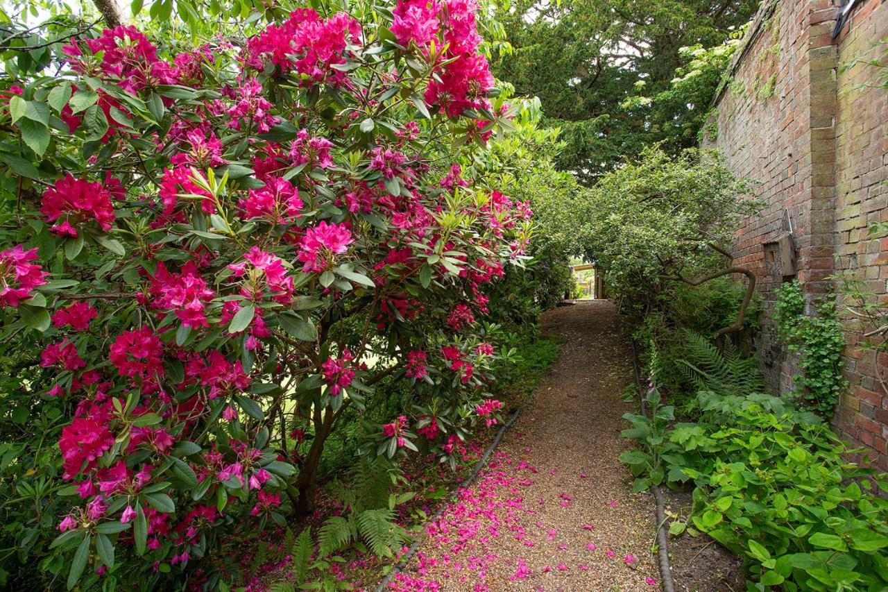 Boreham House Herstmonceux Esterno foto