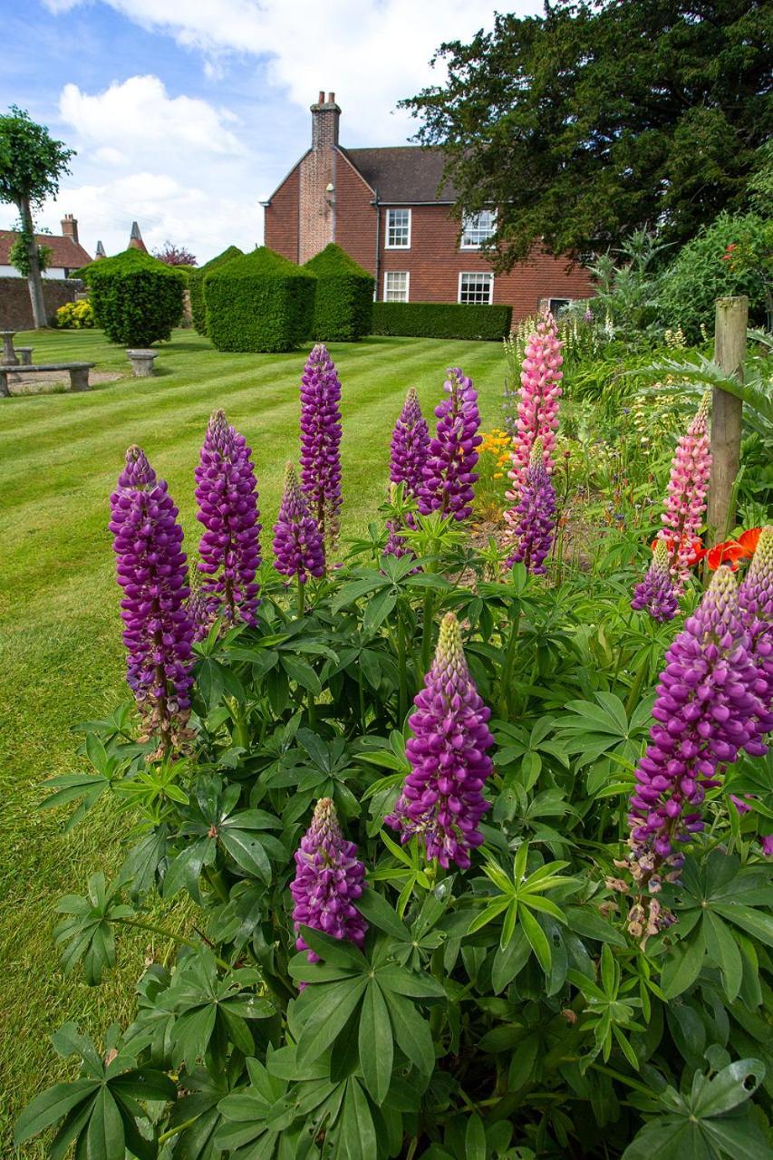 Boreham House Herstmonceux Esterno foto