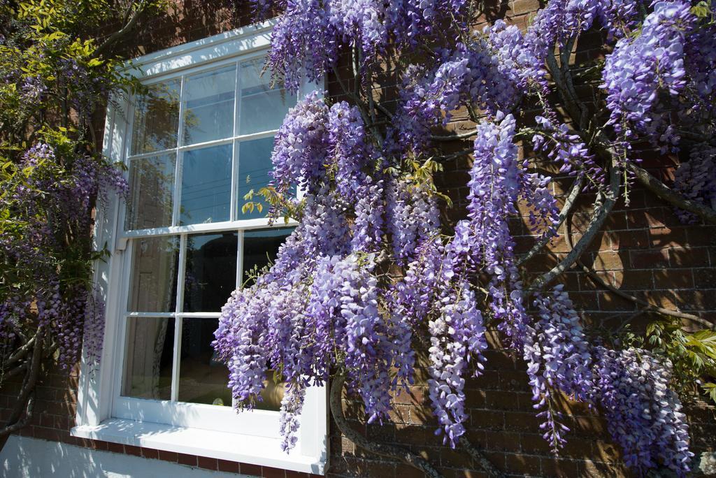 Boreham House Herstmonceux Esterno foto